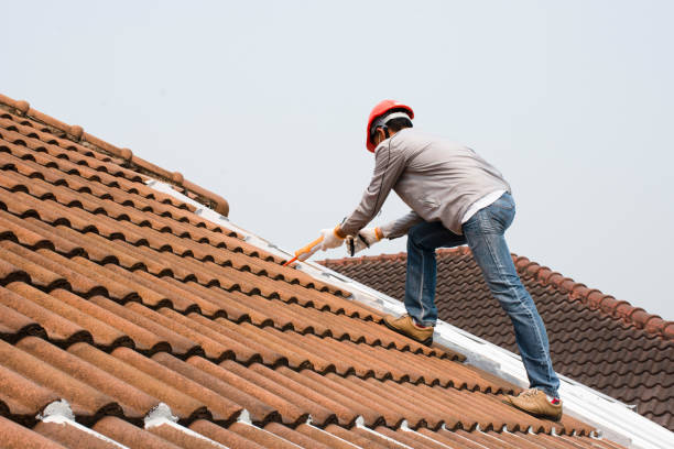 Best Gutter Installation and Repair  in Firestone, CO